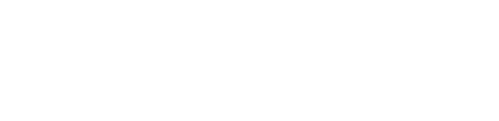 T.C. Cumhurbaşkanlığı Siber Güvenlik Başkanlığı