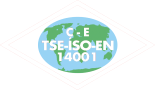 TSE