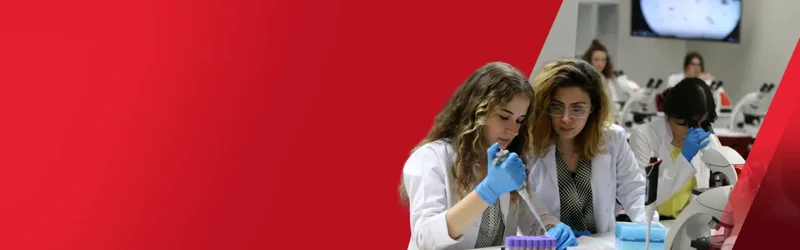 3 dönem üniversitede öğren, 1 dönem işletmede deneyim kazan!