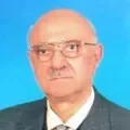TDV İslâm Ansiklopedisi — fotoğraf 1