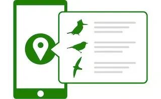 eBird — fotoğraf 2