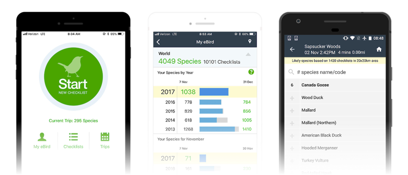 eBird Mobil Arazide, çevrimdışı da olsanız, veri girişinin kolay yolu. Tüm gözlemlerin ve istatistiklerin cebinde. Nereye gidersen git, eBird hep yanında. iOS ve Android uygulamaları 27 dilde ücretsiz. Download on the App Store Get it on Google Play