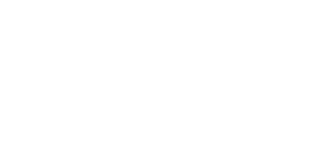 TSE