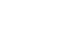 TSE