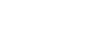TSE