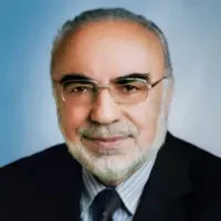 TDV İslâm Ansiklopedisi — fotoğraf 5